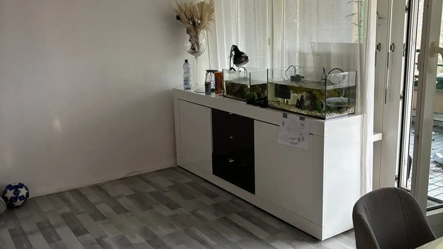 Appartamento in affitto - Baslerstrasse 15, 4102 Binningen - Foto 3