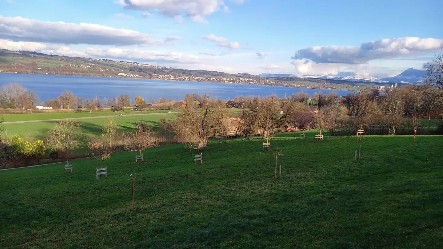 Stanza singola in affitto - Studenstrasse 4a, 6207 Nottwil - Foto 4