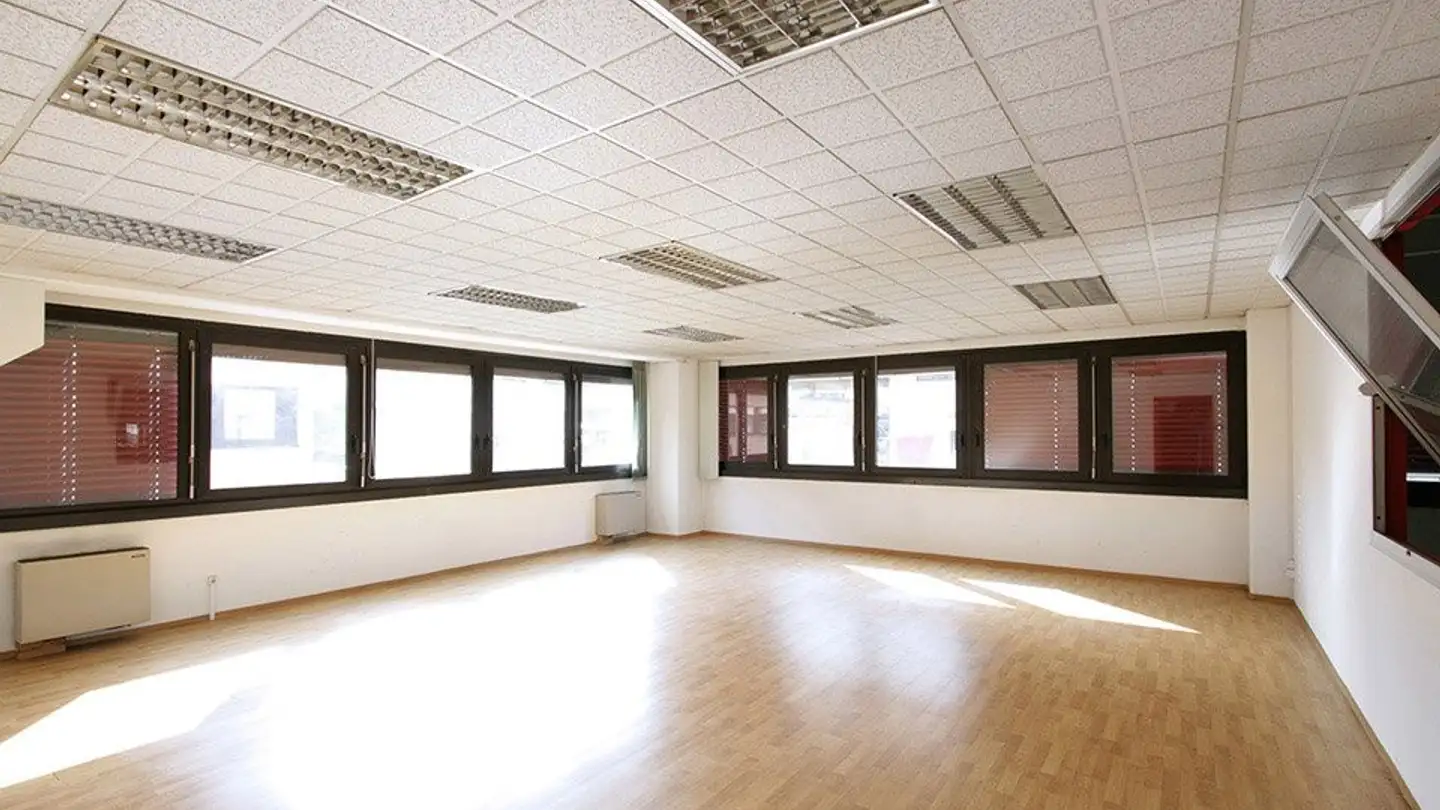 Office space for rent - Via Industria 3, 6814 Lamone