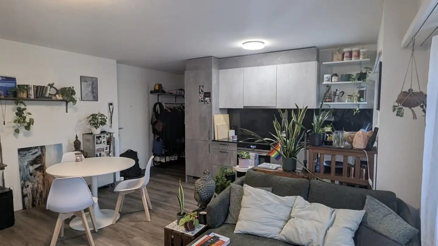 Appartamento in affitto - Wülflingerstrasse 38, 8400 Winterthur - Foto 3