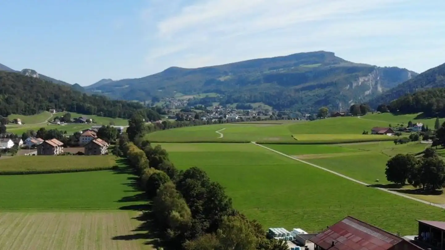 Proprietà industriale in affitto - Untere Brühlmatt 740, 4712 Laupersdorf - Photo 3