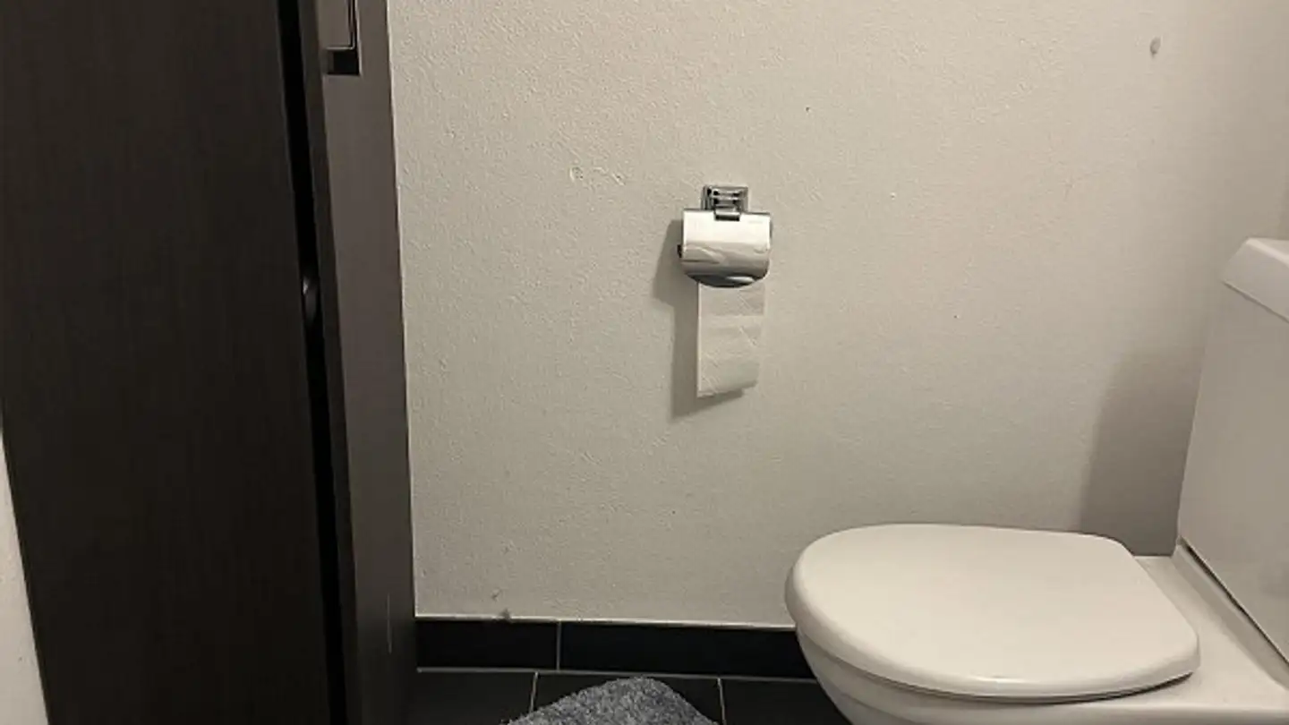 Appartamento in affitto - Oberlandstrasse 85, 8610 Uster - Foto 2