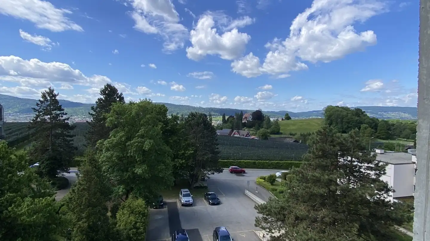 Appartamento in affitto - Riedhofstrasse 378, 8049 Zürich - Foto 3