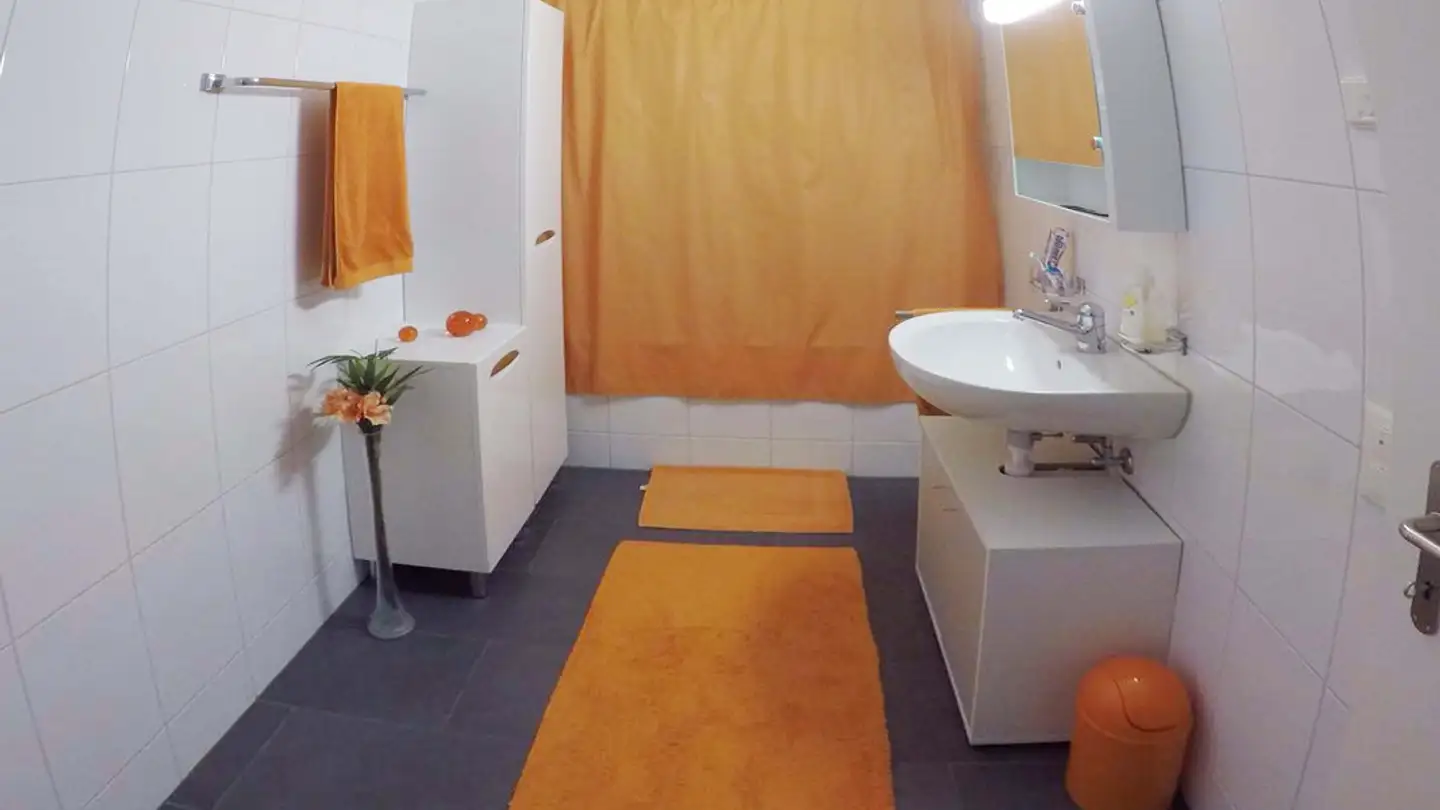 Appartamento in affitto - Sonnenhügelstrasse 16, 9320 Arbon - Foto 4