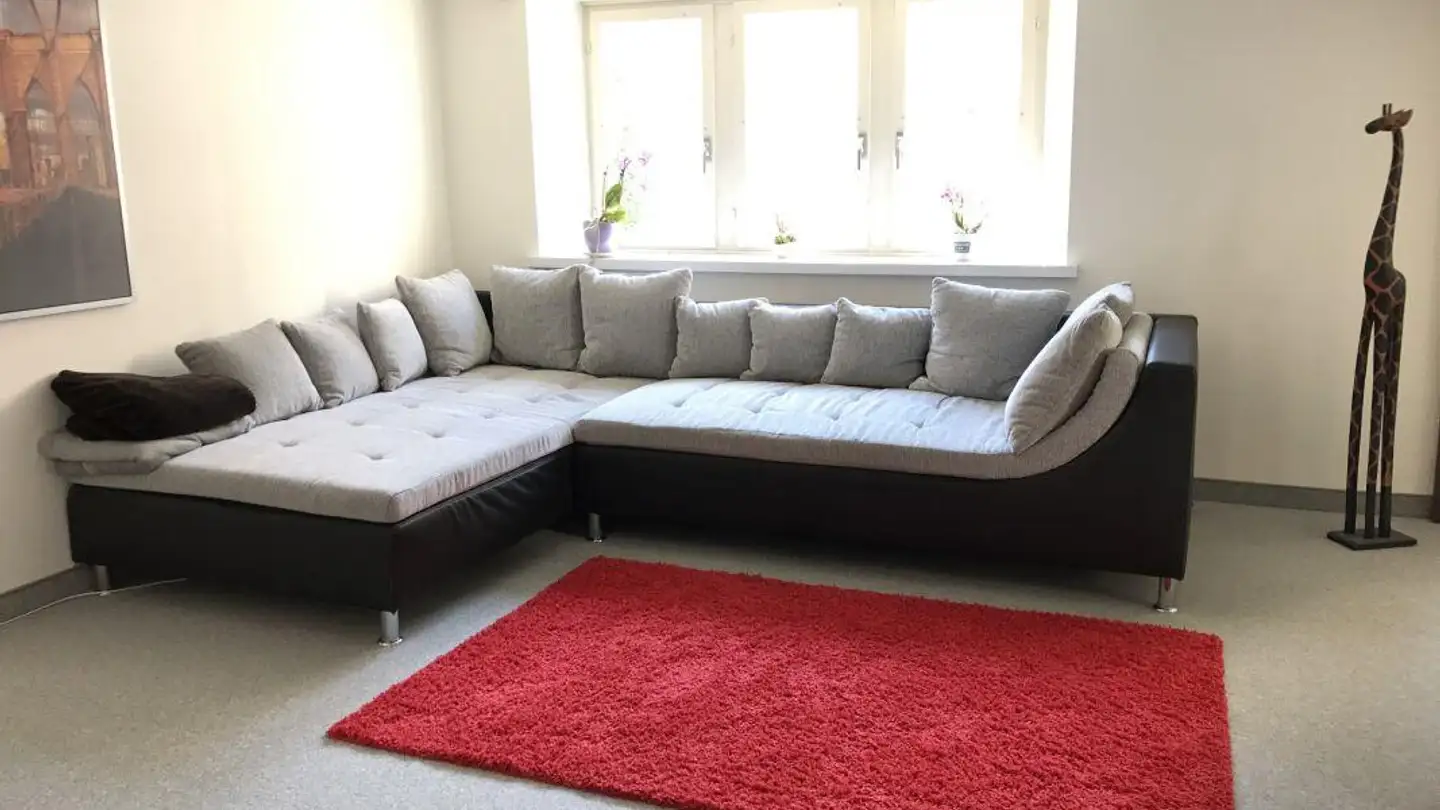 Wohnung mieten - Rheinhof 4, 8200 Schaffhausen - Foto 3