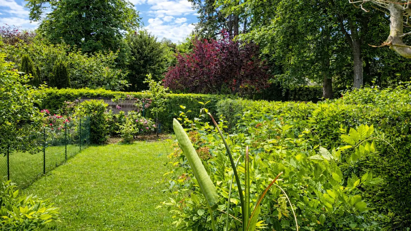 Maison individuelle à louer - 1293 Bellevue