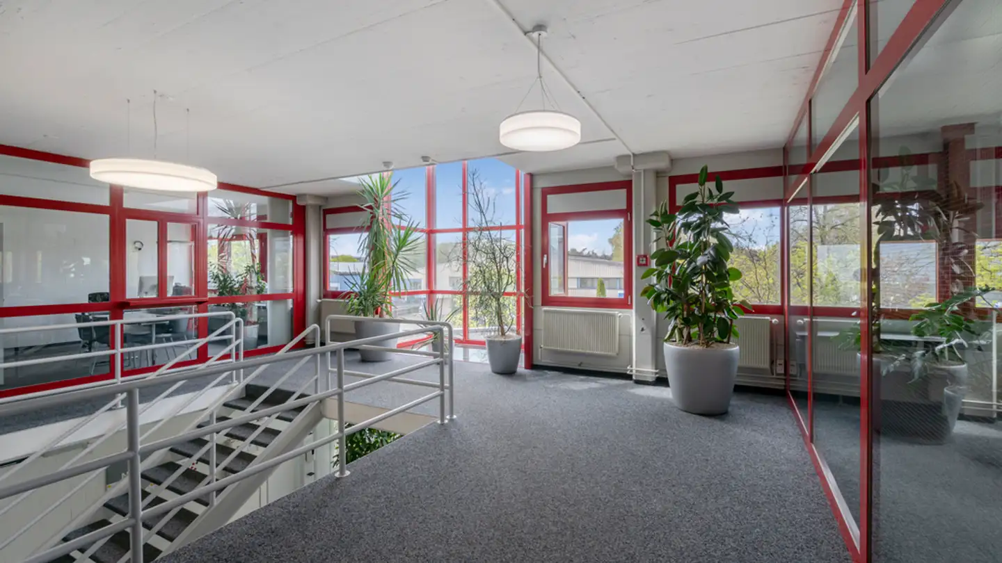 Commercial à louer - Werkstrasse 41, 3250 Lyss - Photo 3
