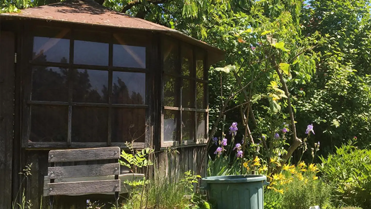 Apartment for rent - 8405 Winterthur - Photo 2