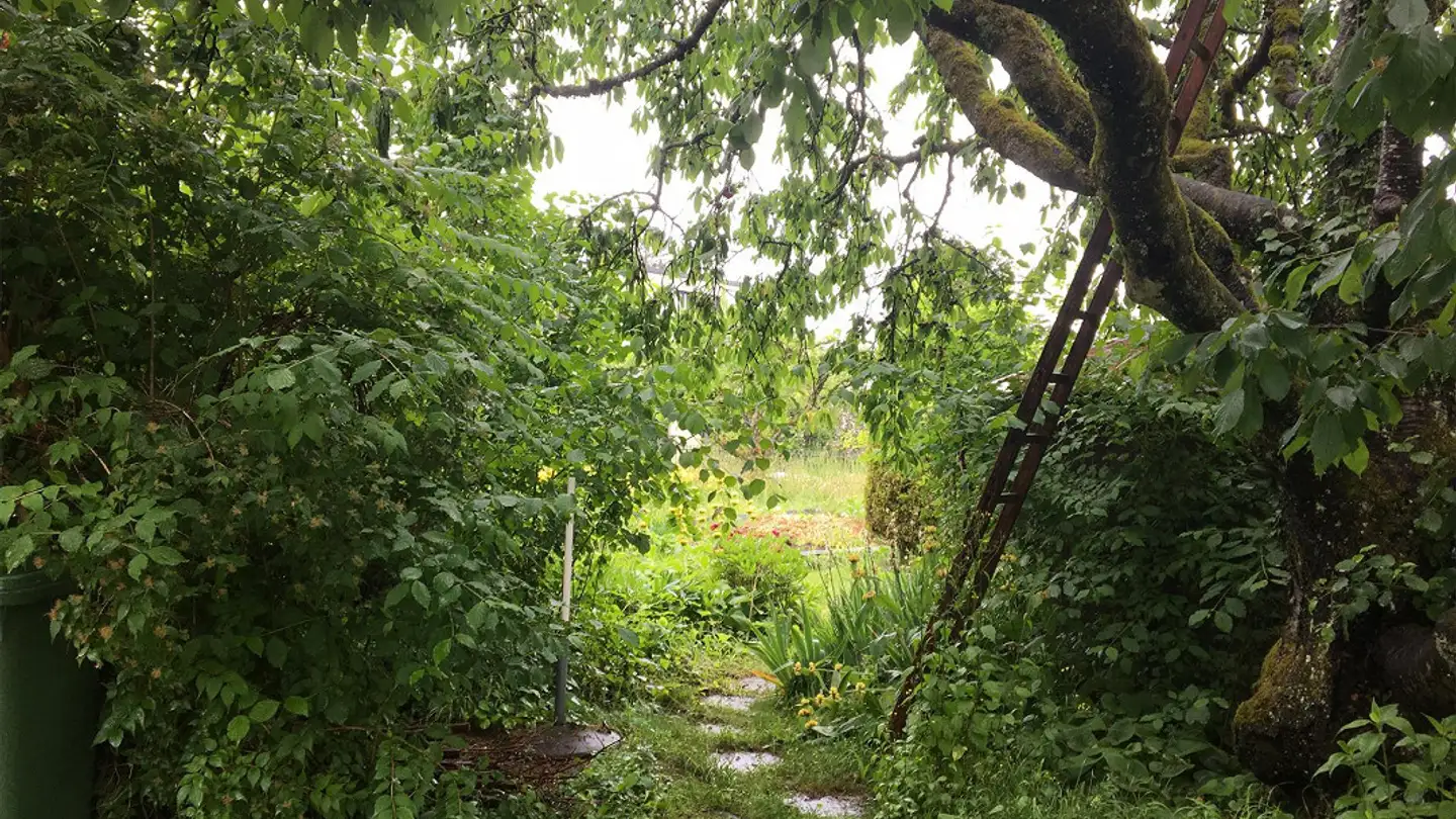 Apartment for rent - 8405 Winterthur - Photo 3