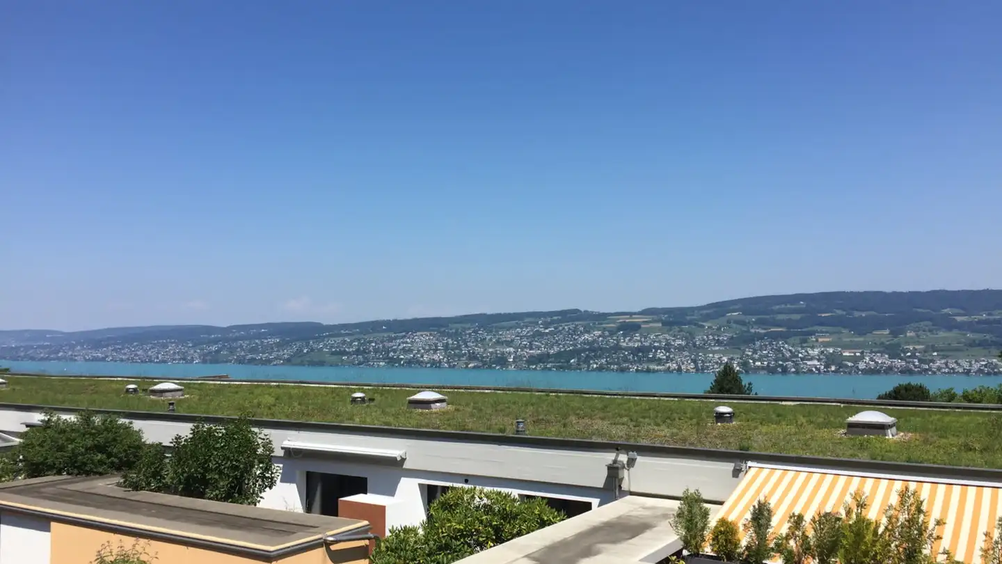 Maison individuelle à louer - Mythenstrasse 56, 8810 Horgen