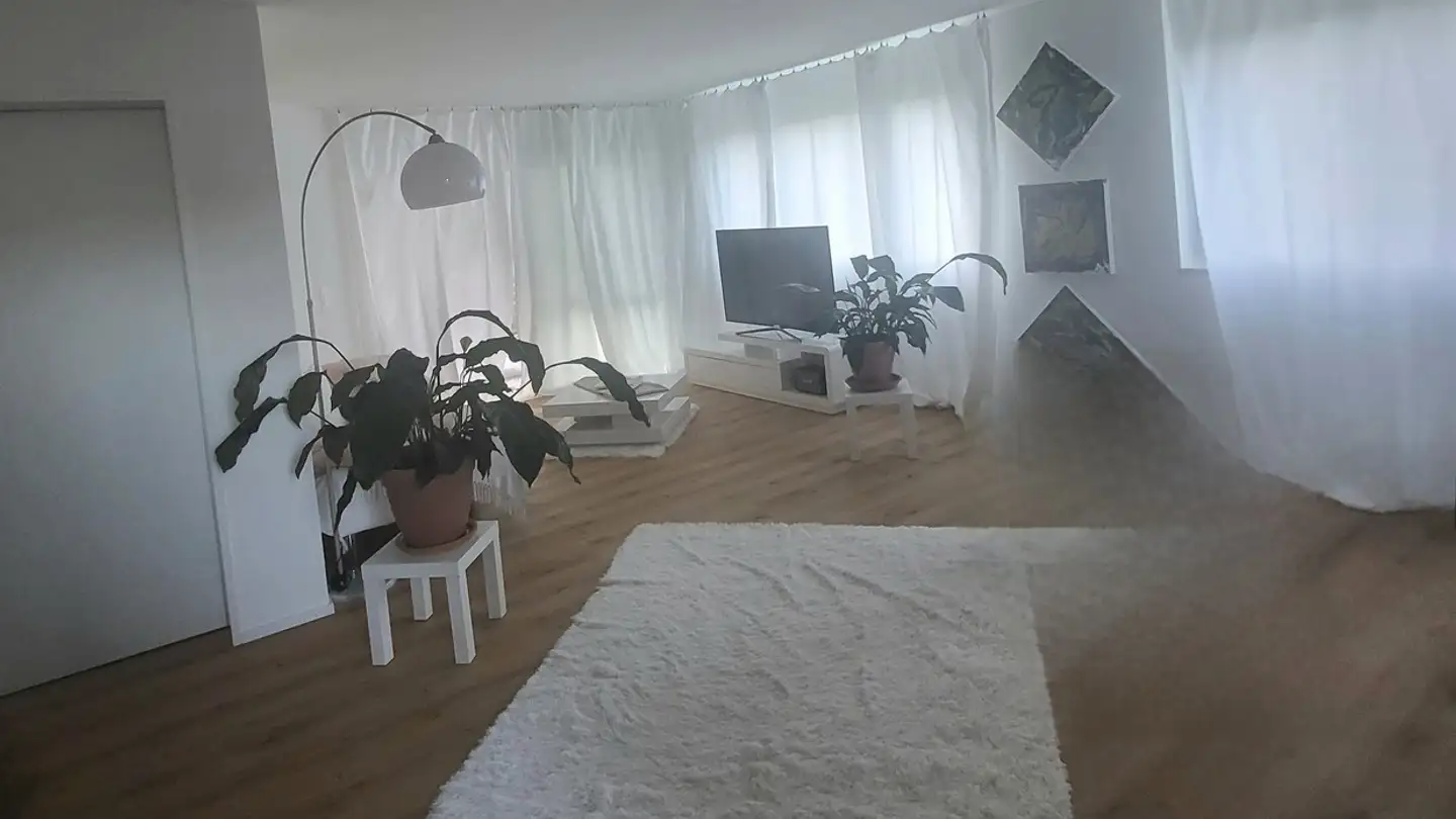 Appartamento in affitto - Buechmatt, 8962 Bergdietikon