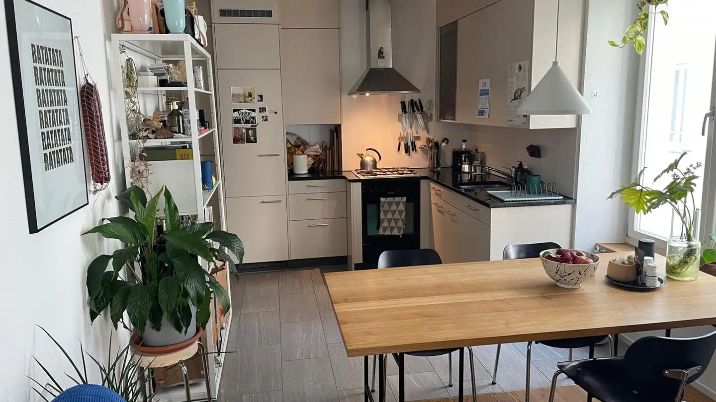 Furnished apartment for rent - Militärstrasse 14, 8004 Zürich
