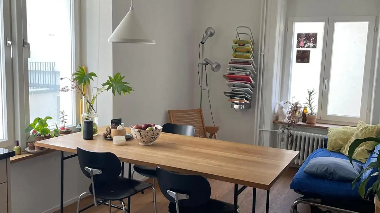 Furnished apartment for rent - Militärstrasse 14, 8004 Zürich - Photo 2