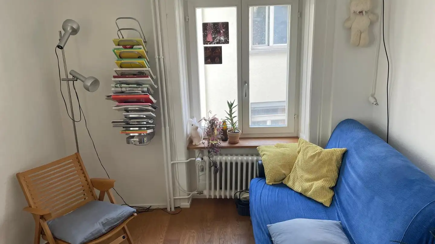 Furnished apartment for rent - Militärstrasse 14, 8004 Zürich - Photo 3