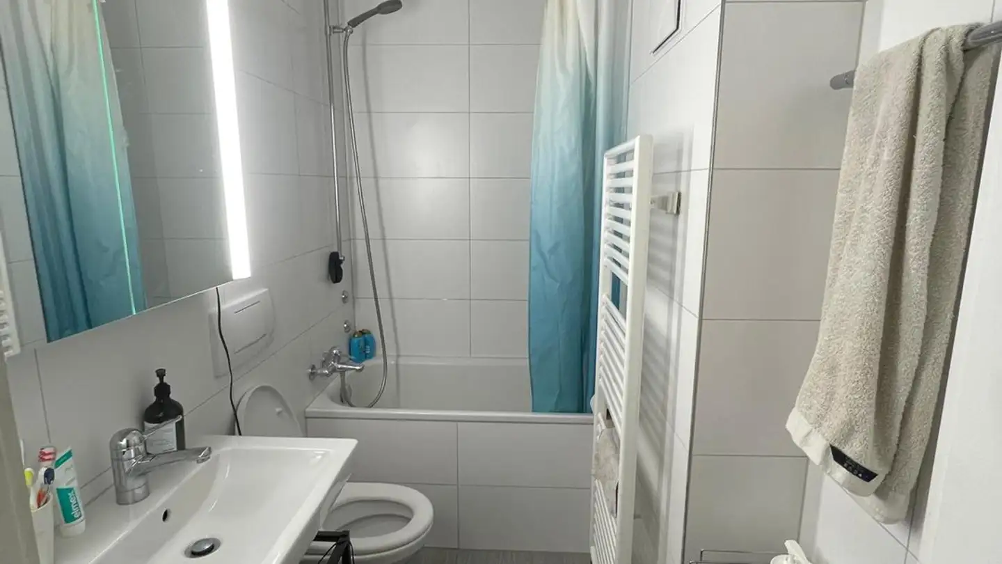 Furnished apartment for rent - Militärstrasse 14, 8004 Zürich - Photo 4