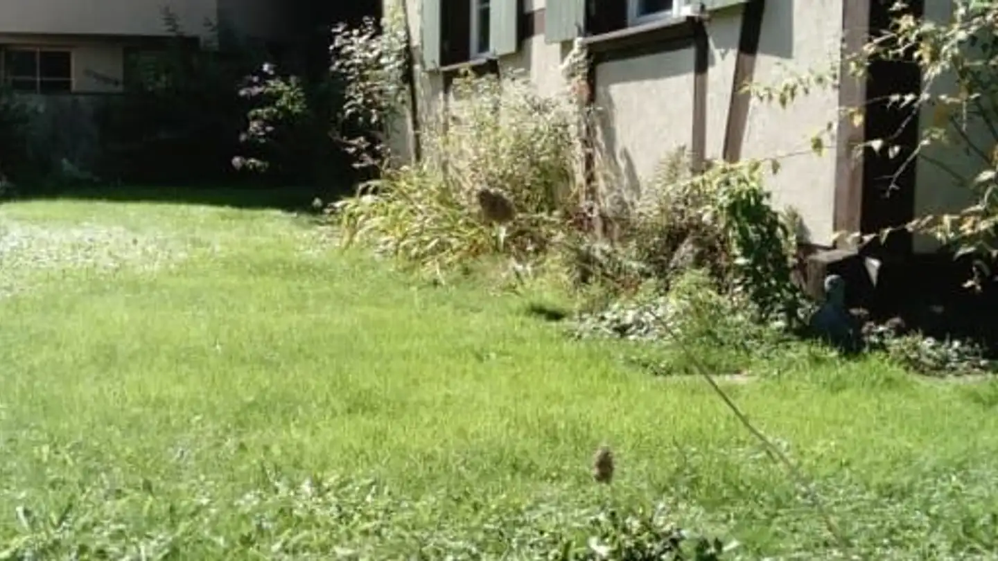 Casa bifamiliare in affitto - Lützelbachweg 3, 4123 Allschwil - Photo 2