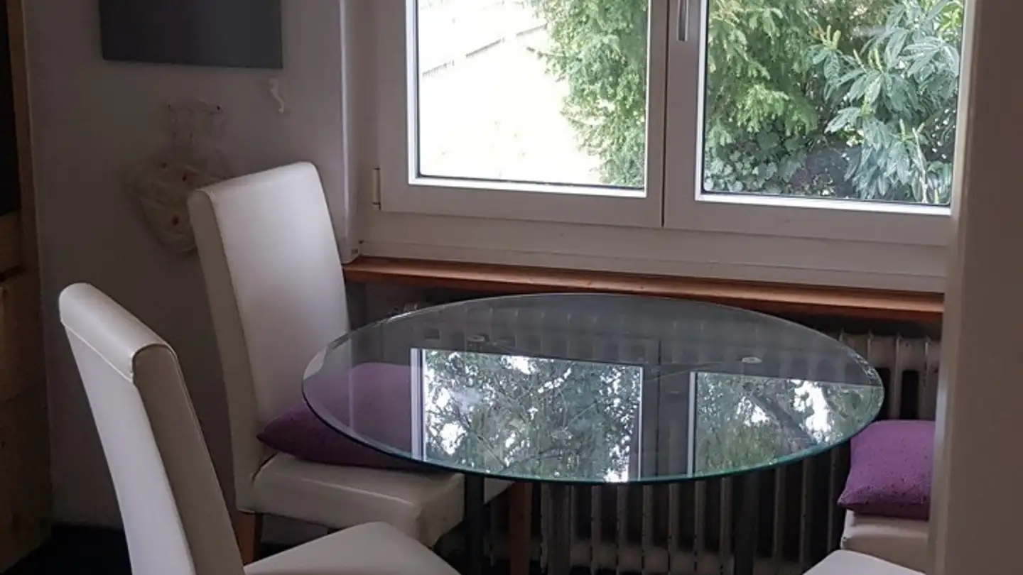 Chambre à louer - 8050 Zürich - Photo 4