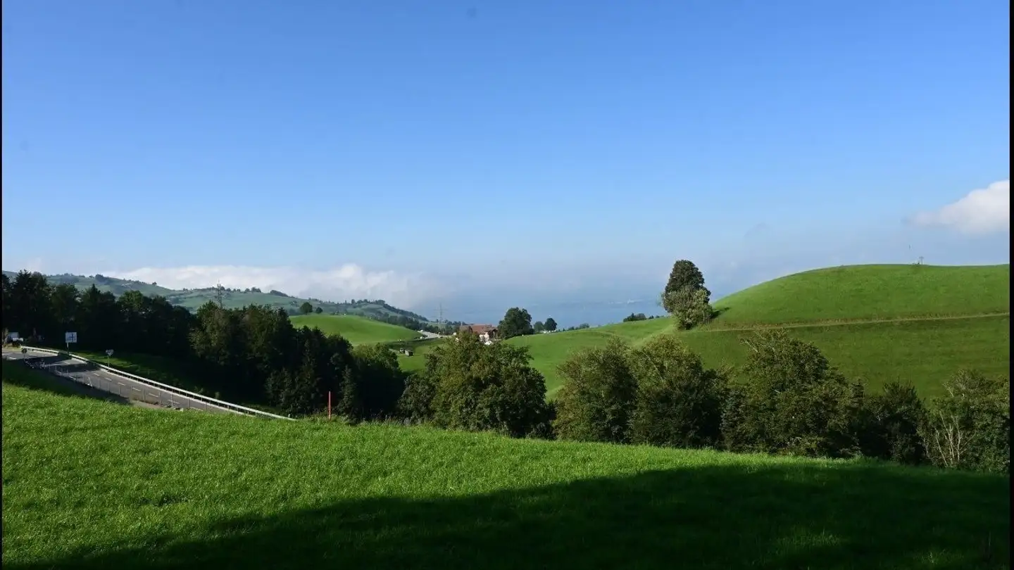 Single room for rent - 6313 Edlibach - Photo 3