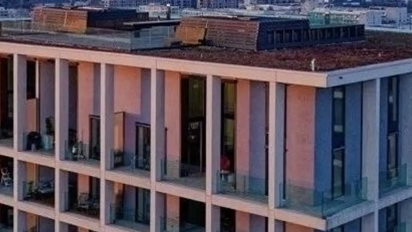 Appartamento in affitto - Schärenmoosstrasse 78, 8052 Zürich - Foto 2
