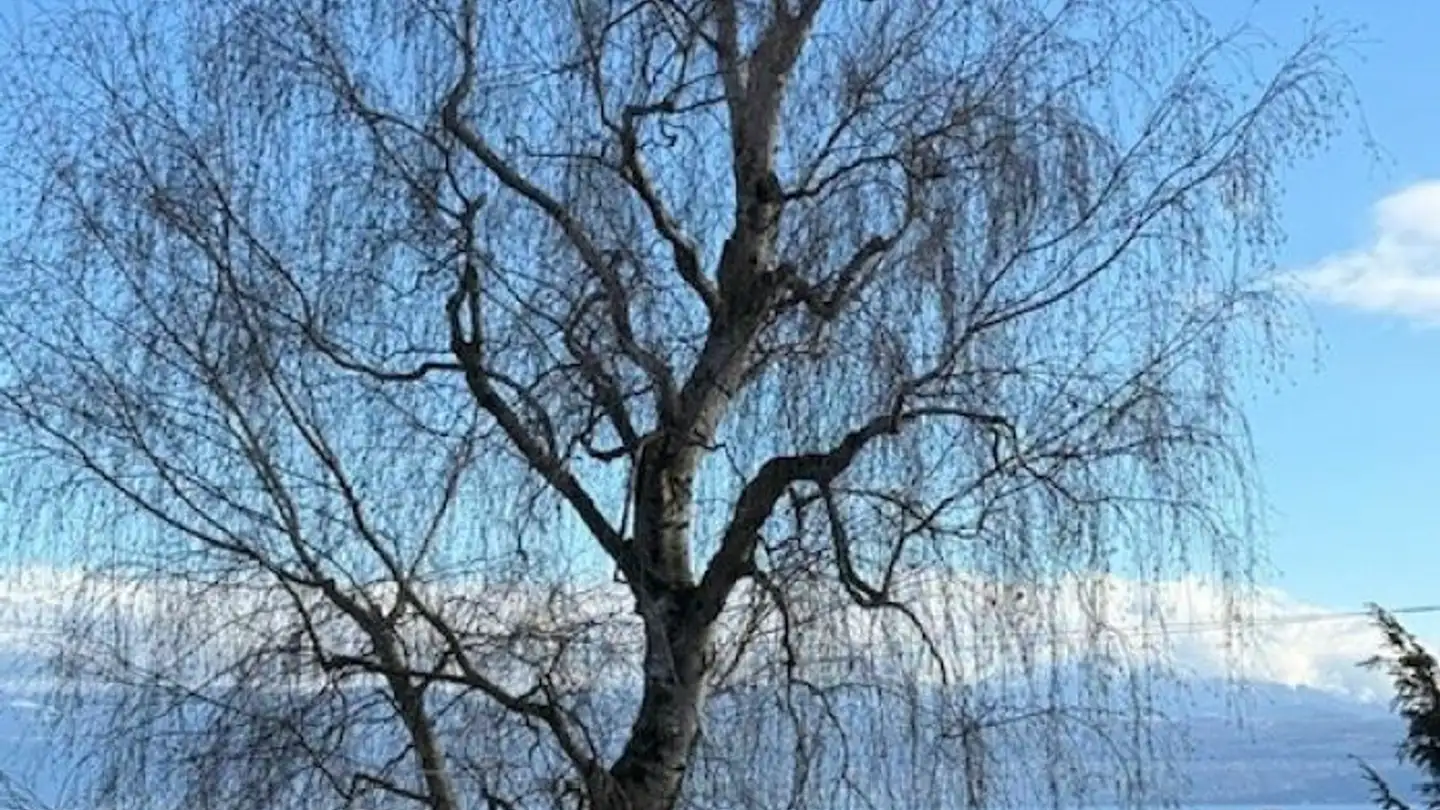 Casa singola in vendita - 1110 Morges - Foto 3