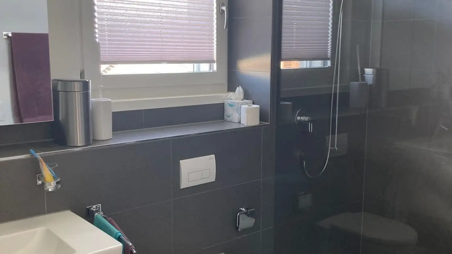 Appartamento in affitto - Gemini, 6212 St. Erhard - Foto 4