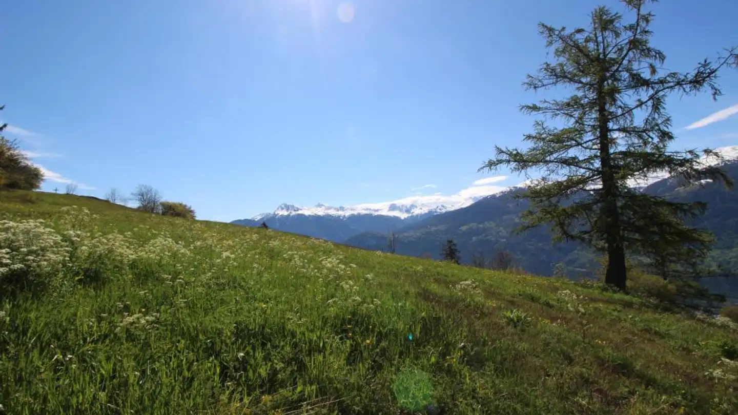 Chalet in vendita - Route De Crans-Montana, 3963 Montana - Photo 2