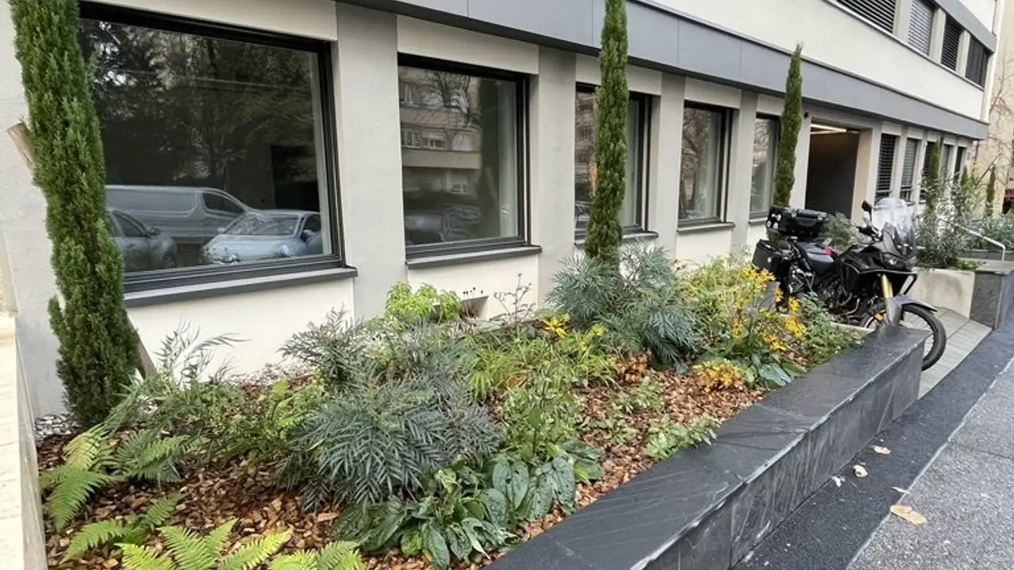 Bürofläche mieten - Rue Ernest- Bloch 52, 1207 Genève