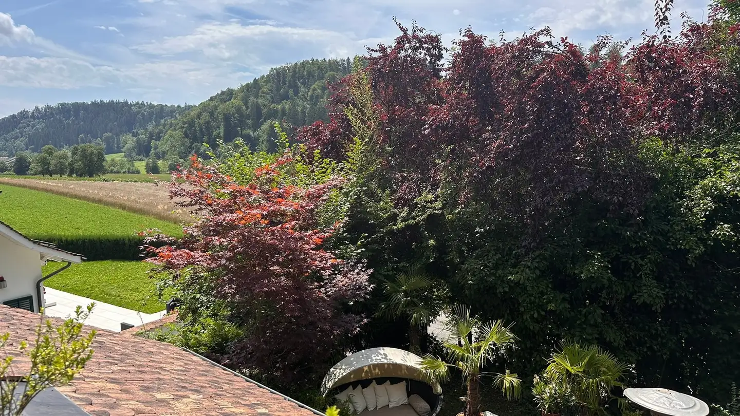 Villa in vendita - 8143 Stallikon - Photo 3