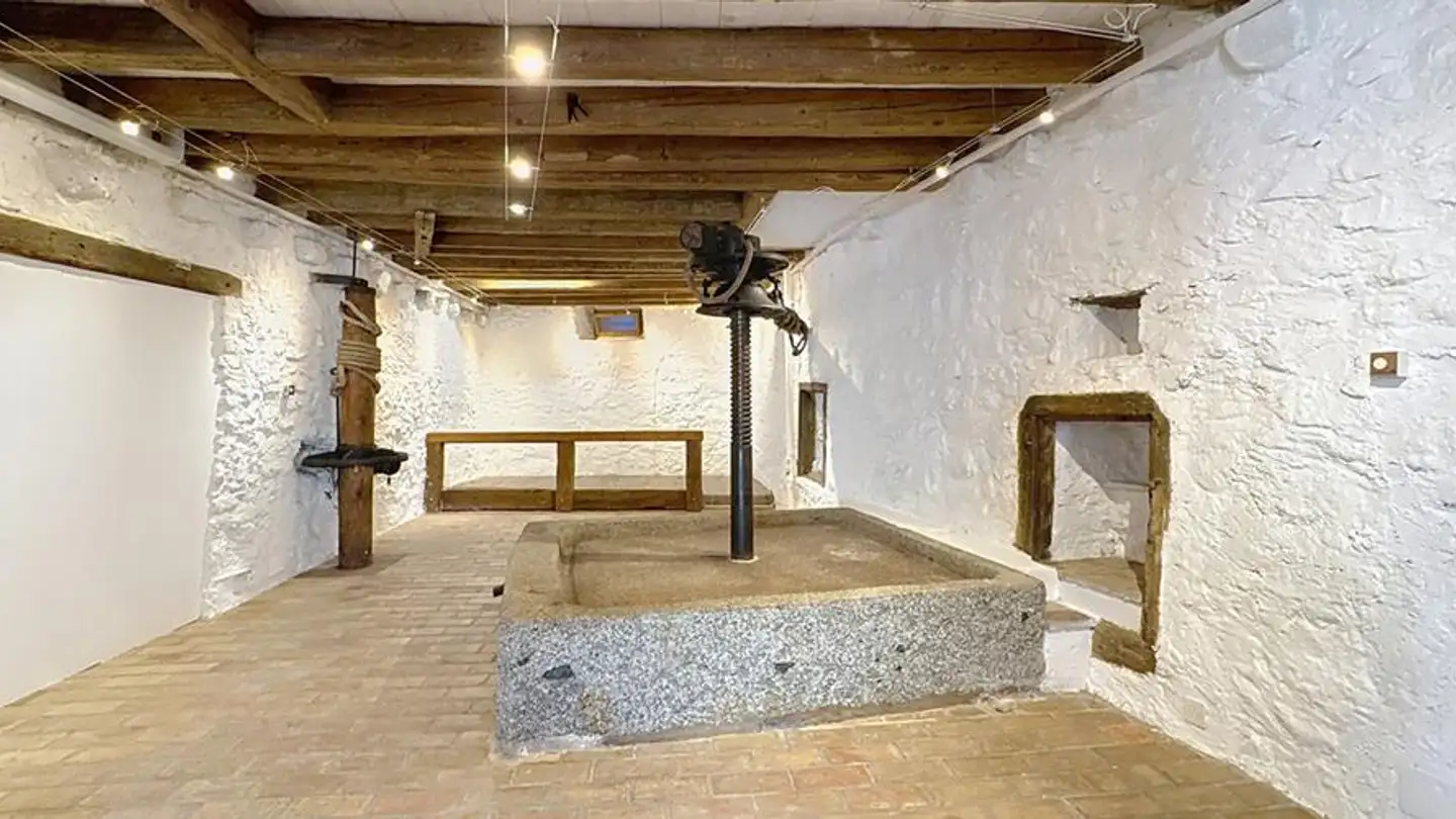 Mixed-use building for rent - Rue Verdaine 8, 1095 Lutry