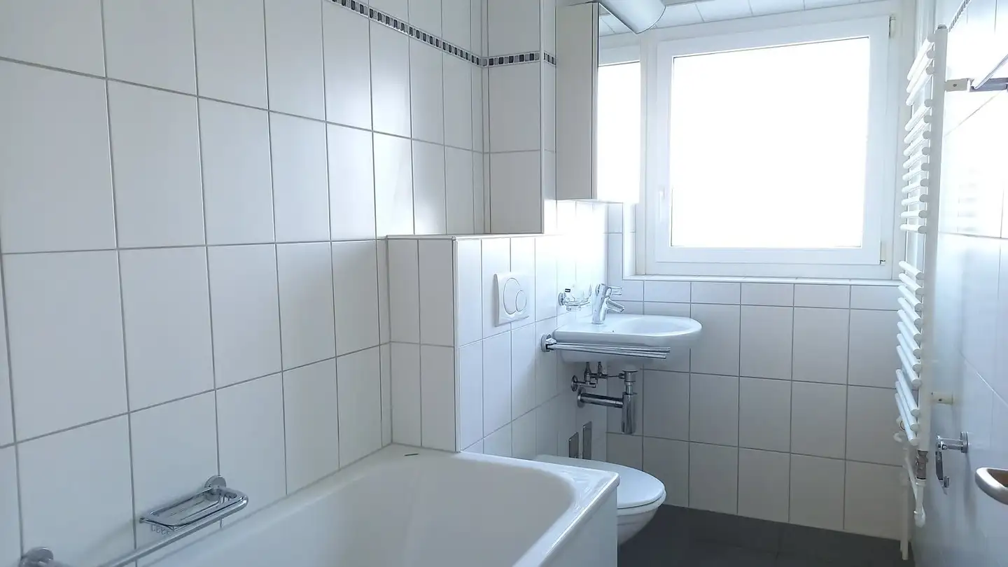 Appartamento in affitto - Grosswiesenstrasse 153, 8051 Zürich - Foto 3