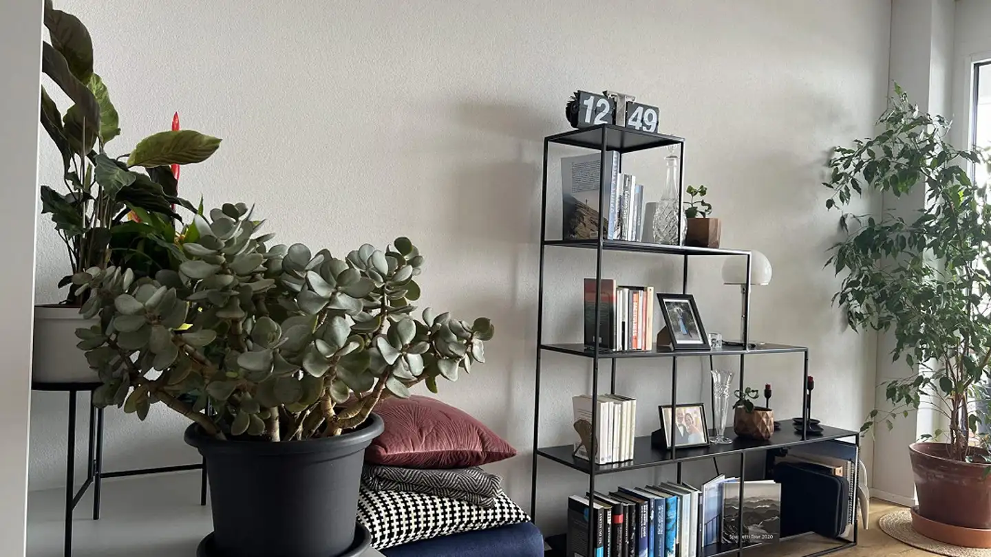 Apartment for rent - Fabrikgasse 9, 8810 Horgen - Photo 3