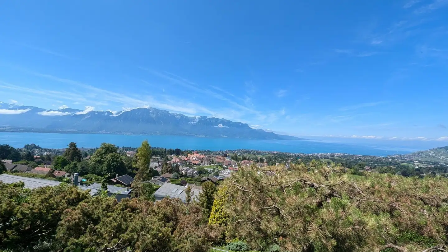Chalet mieten - Chemin Du Signal 28, 1807 Blonay