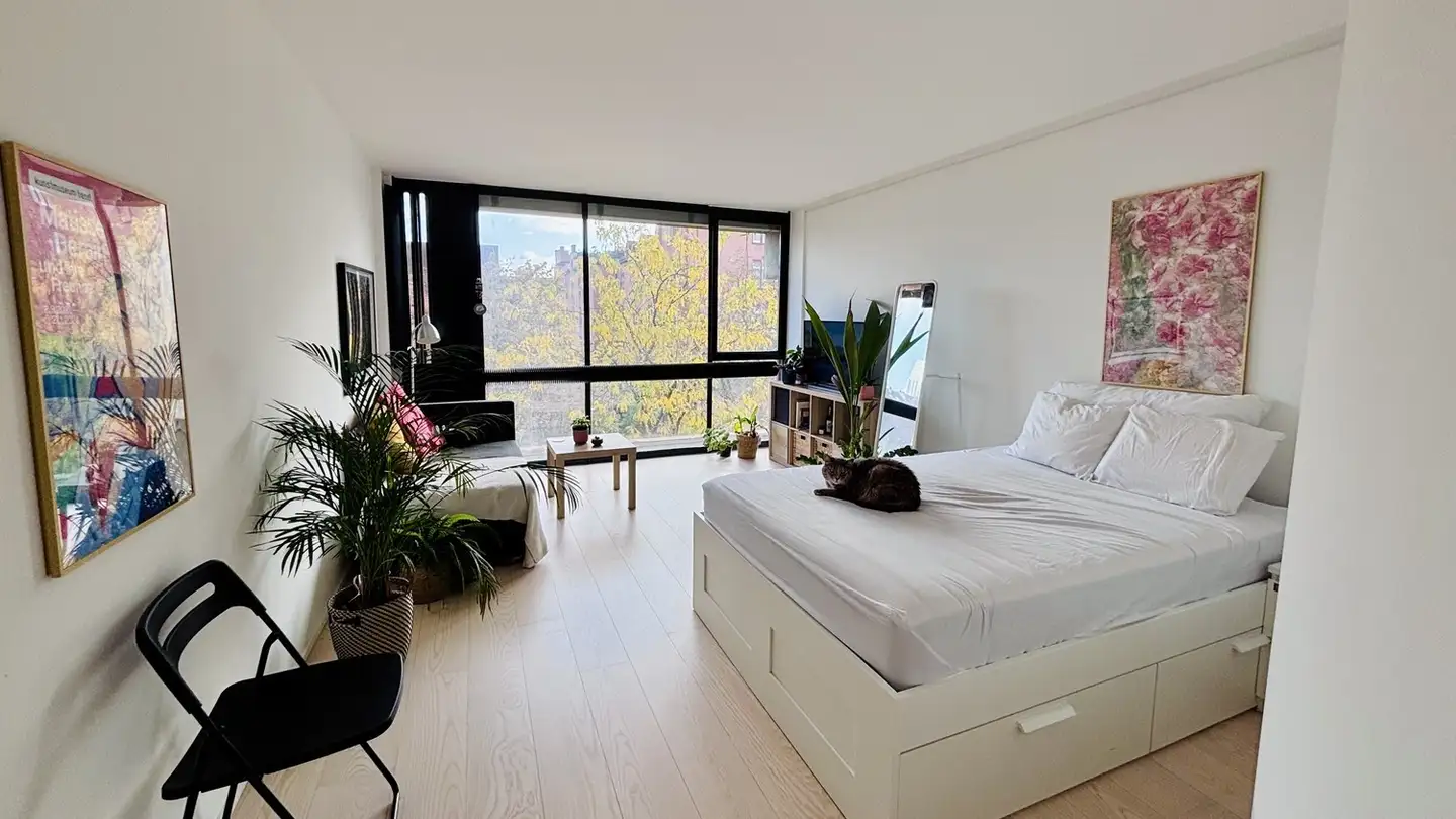 Appartamento in affitto - Klingentalgraben 5, 4057 Basel