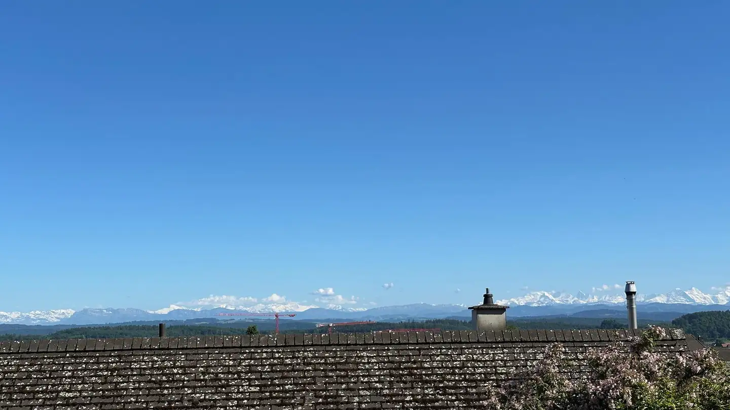 Industrial property for rent - Untere Gasse 19, 4625 Oberbuchsiten - Photo 3