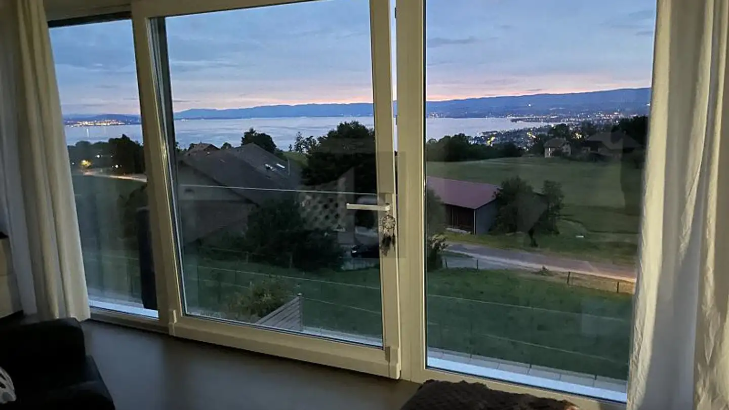 Maison en terrasse à louer - Route De La Petite-Corniche 5, 1091 Aran - Photo 4