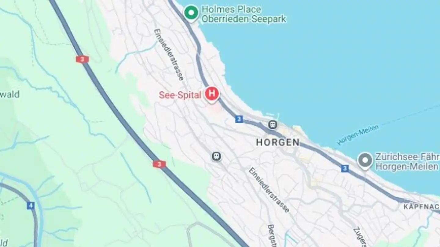 Wohnung kaufen - 8810 Horgen