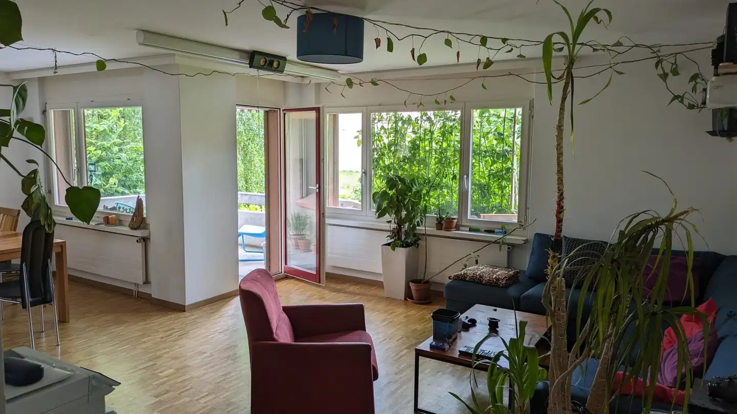 Stanza singola in affitto - 8820 Wädenswil