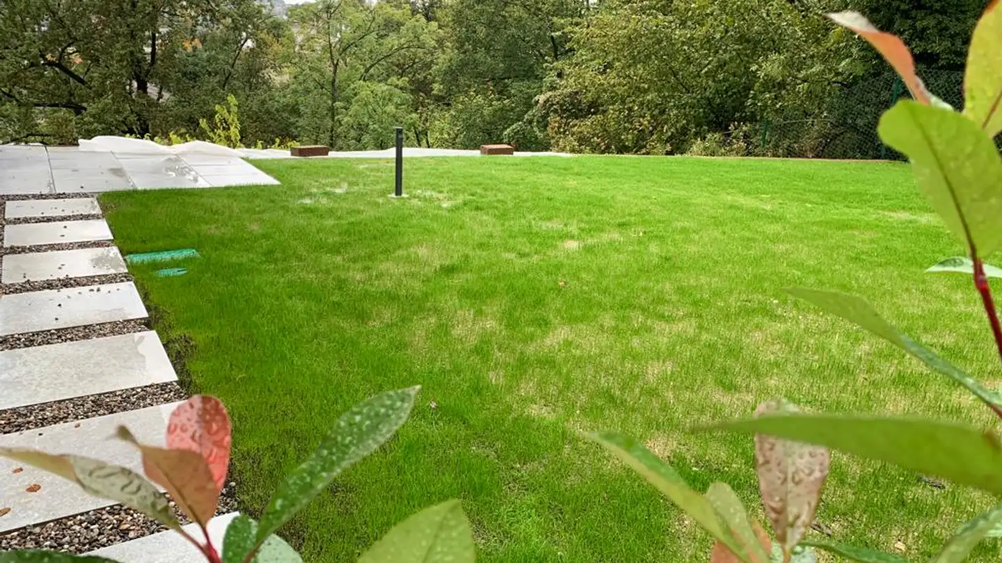 Appartamento in affitto - 6830 Chiasso - Foto 3