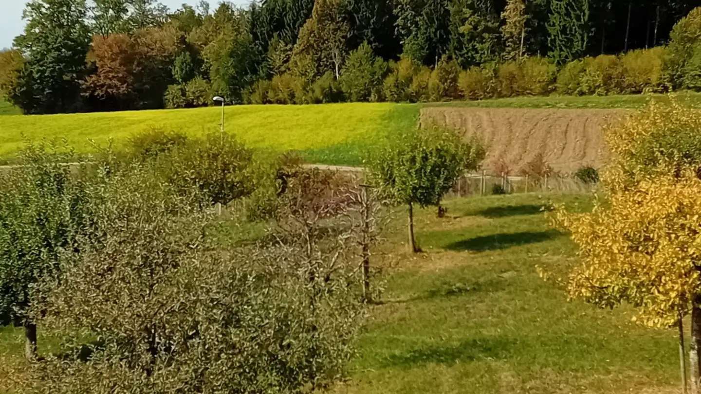 Chambre à louer - Lettenstrasse 29, 8966 Oberwil-Lieli