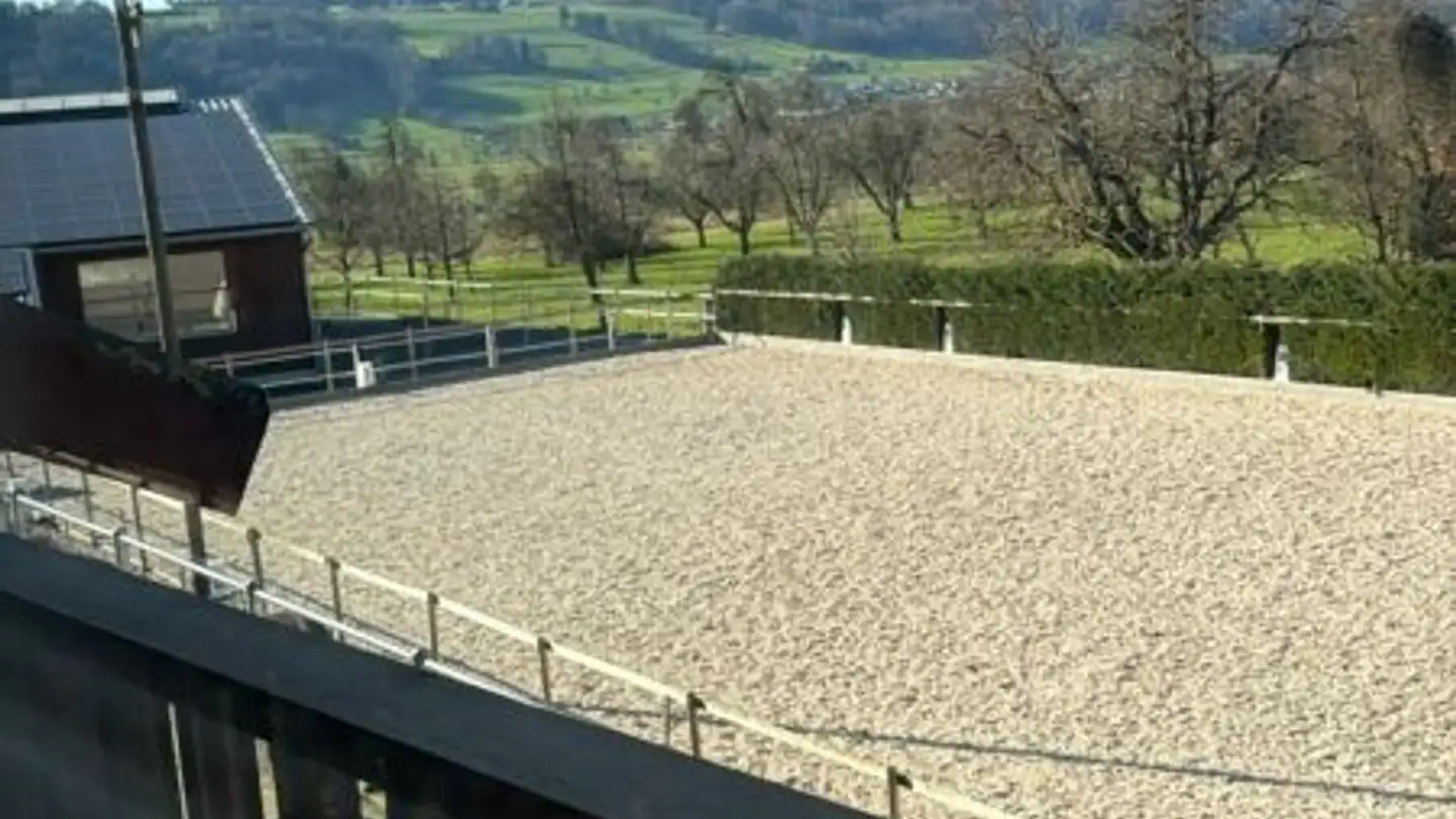 Appartement à louer - Unterdorf, 6286 Altwis - Photo 2