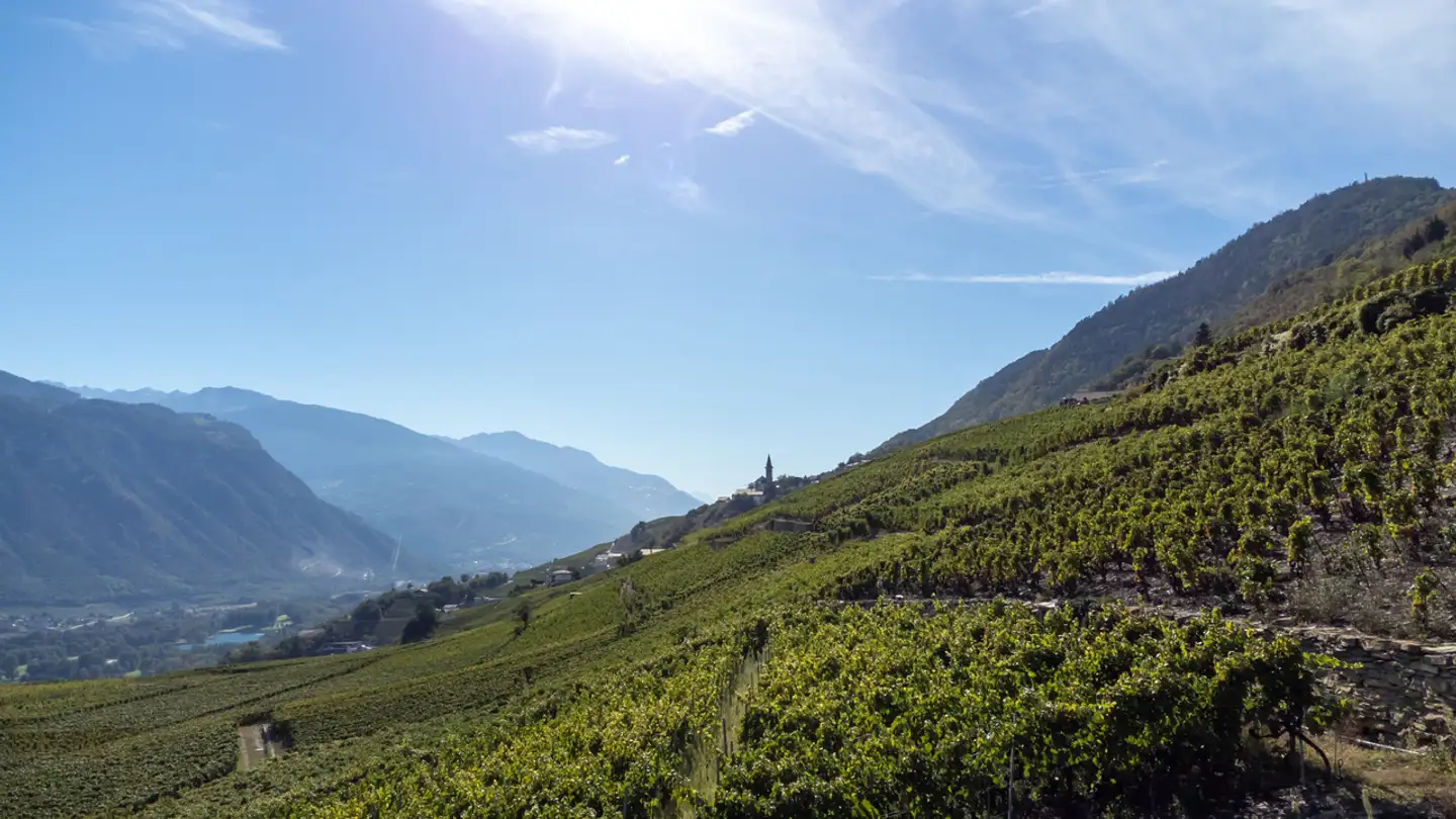 Appartamento in vendita - 3960 Sierre - Photo 3