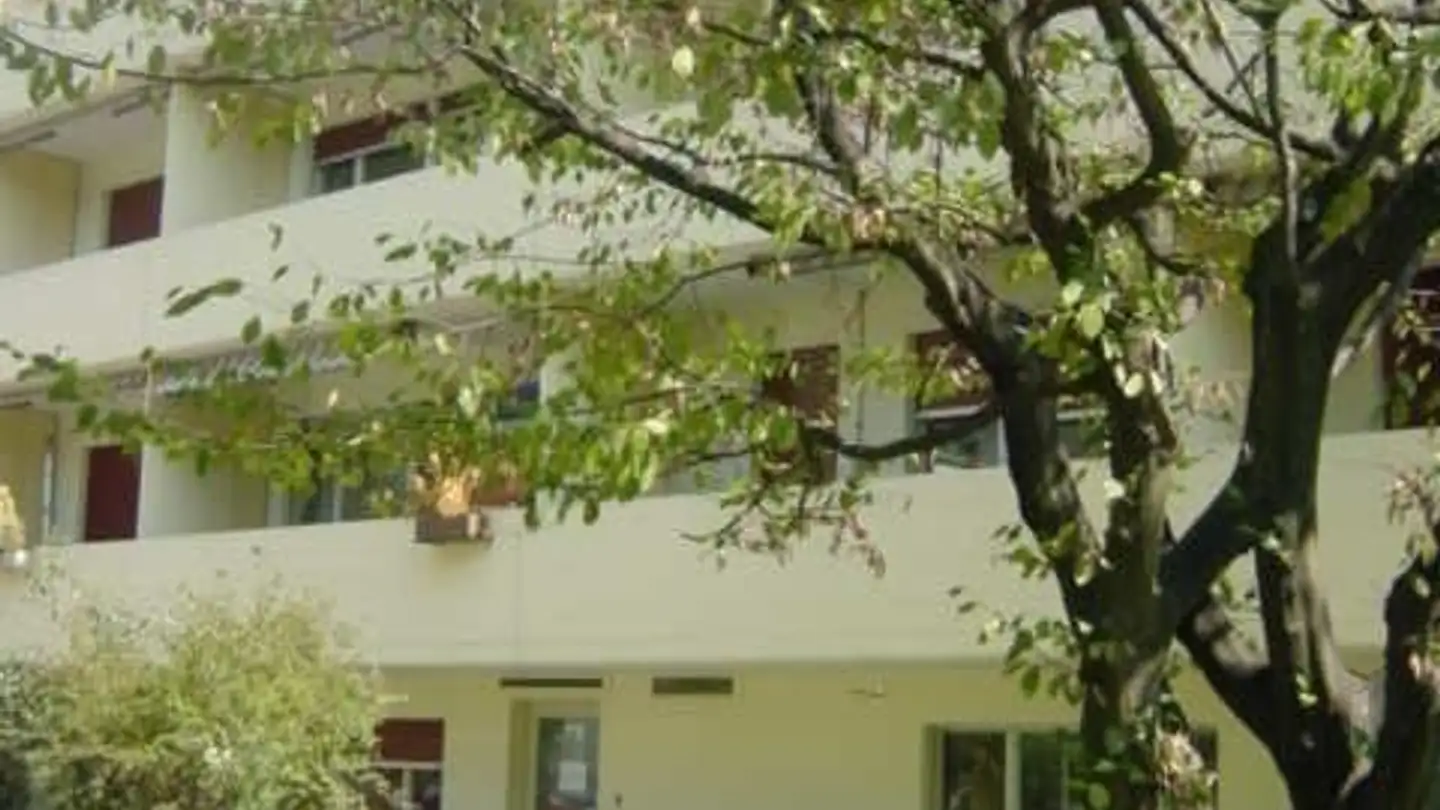 Appartement à louer - Pappelweg 25, 3013 Bern