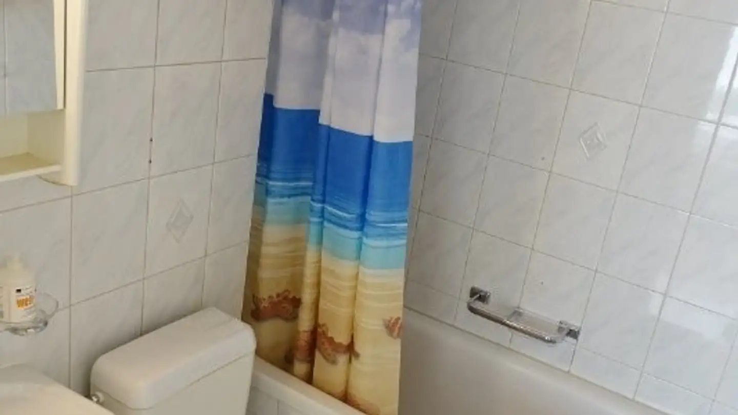 Apartment for rent - Moosstrasse 15, 6003 Luzern - Photo 3