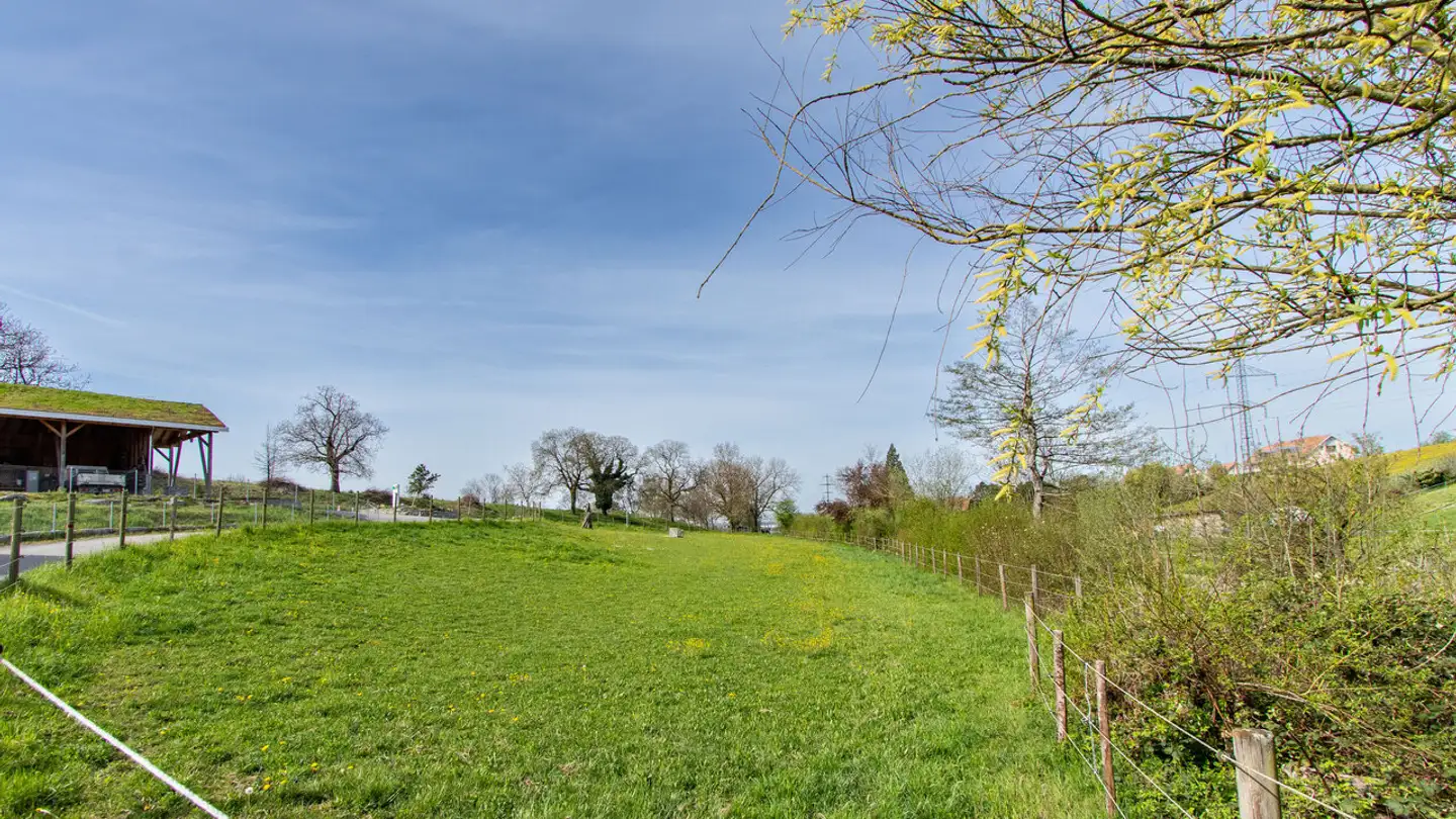 Constructible plot for sale - Poya, 1797 Münchenwiler - Photo 3