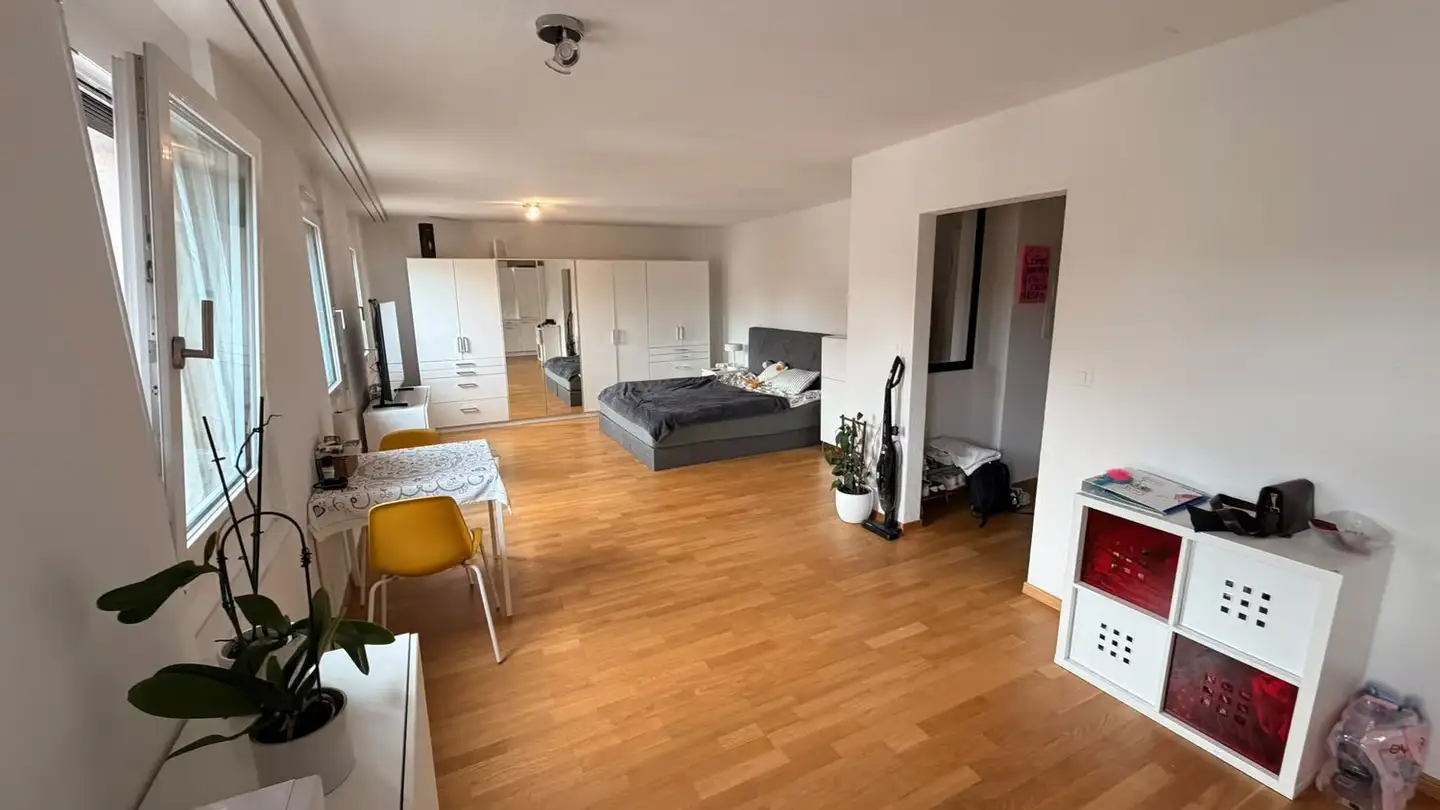 Furnished apartment for rent - 5400 Baden
