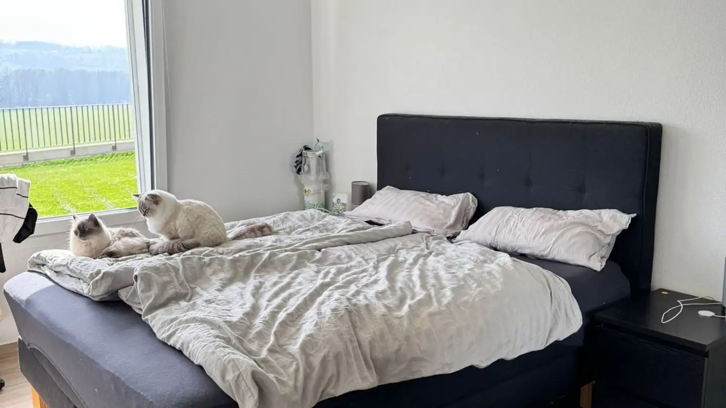 Apartment for rent - Route De Brit 91, 1532 Fétigny - Photo 4