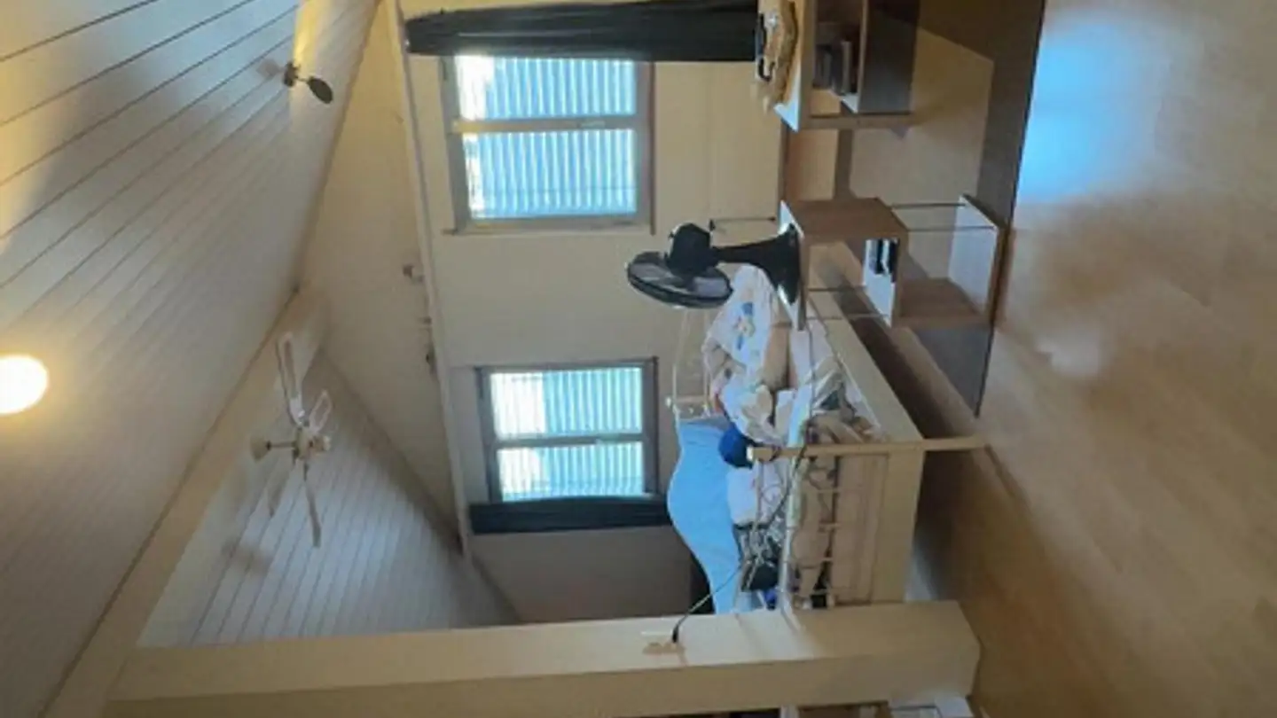 Appartamento in affitto - Ernetschwilerstrasse 50, 8730 Uznach - Foto 2