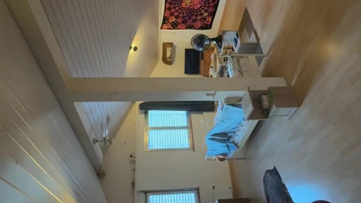 Appartamento in affitto - Ernetschwilerstrasse 50, 8730 Uznach - Foto 3