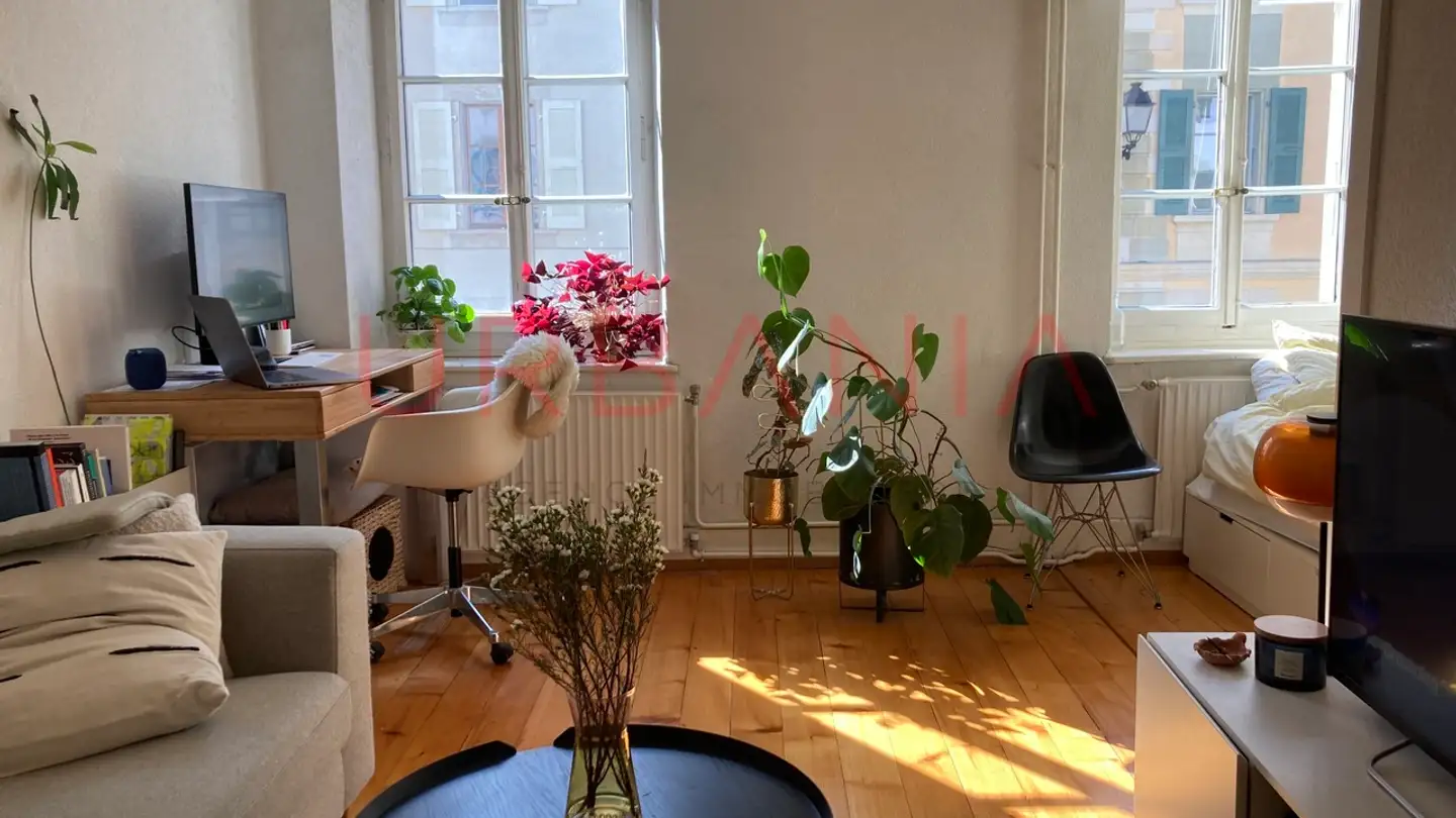 Apartment for rent - Rue Jacques- Dalphin 45, 1227 Carouge GE - Photo 3