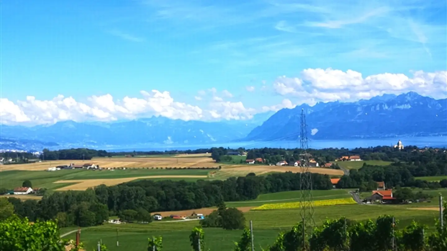 Villa à vendre - 1110 Morges